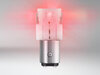 Ampoules LED P21/5W Osram LEDriving® SL Rouges - BAY15d