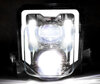 Phare LED pour Husqvarna FE 250 (2020 - 2023)