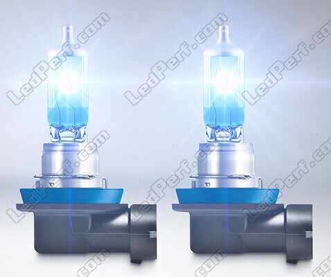 H11-Halogenlampen Osram Cool Blue Intense mit LED-Effektbeleuchtung